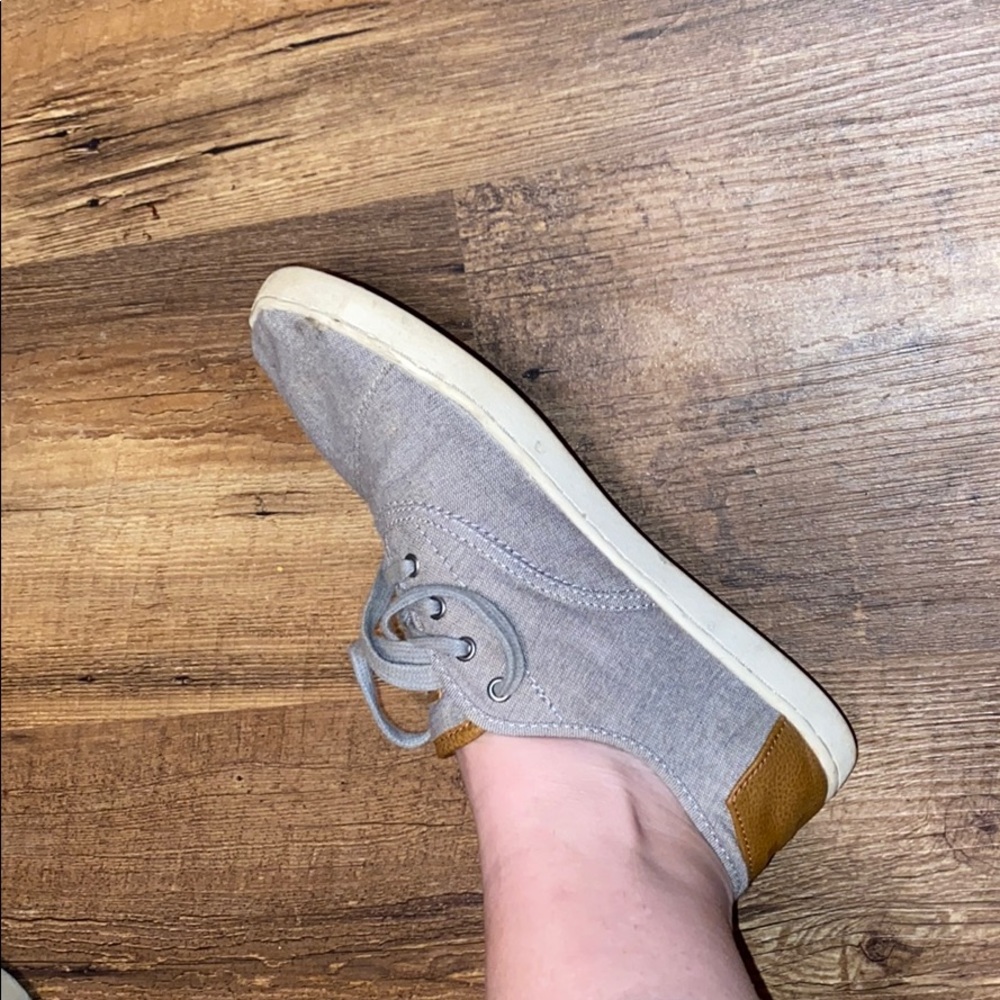 TOMS